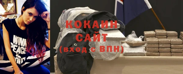 гашик Белокуриха
