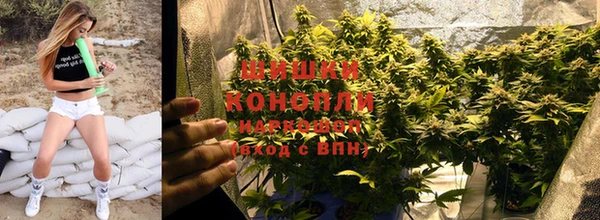 гашик Белокуриха
