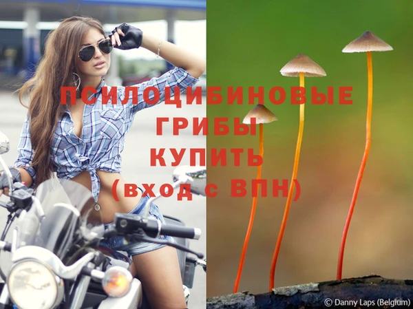 мескалин Беломорск