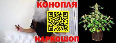 гидра Малгобек