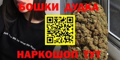 гидра Малгобек
