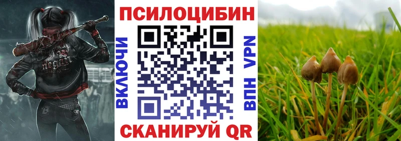Галлюциногенные грибы Psilocybe  наркошоп  Буйнакск 