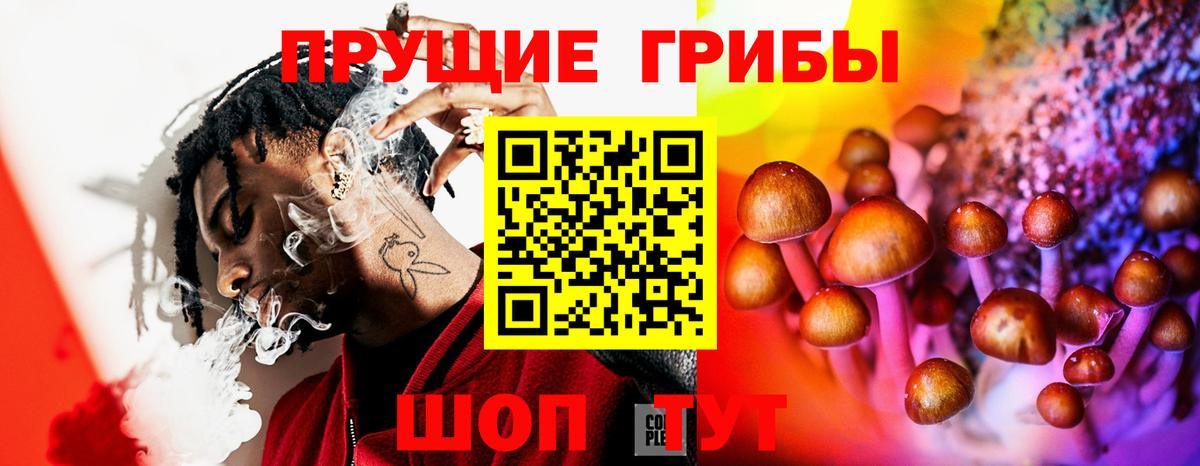 Буйнакск  Галлюциногенные грибы GOLDEN TEACHER  Вход с VPN 